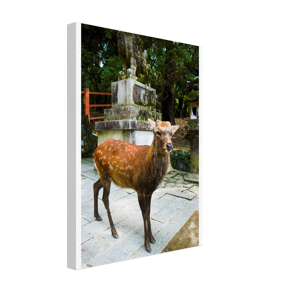 fee01e01-9da6-4045-9abe-8cf028b00768